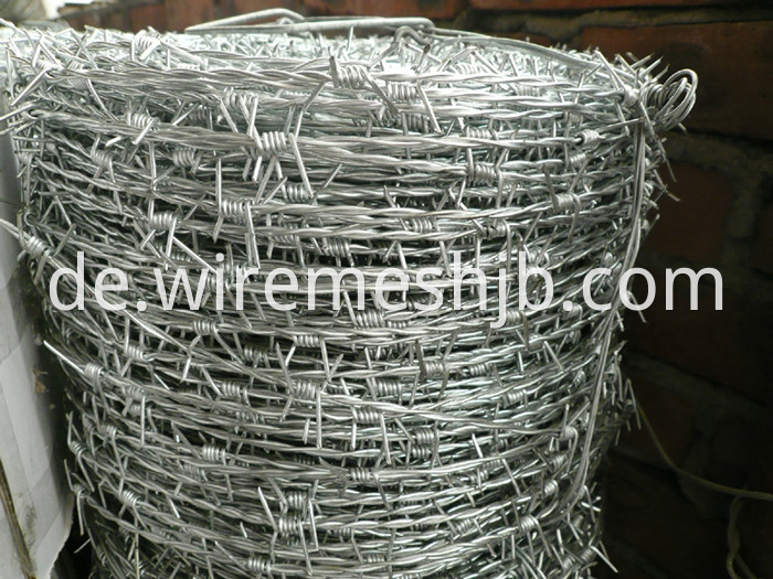 Barbed Iron Wire